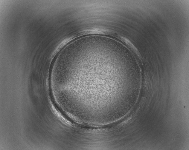 X0000078870938200611201336