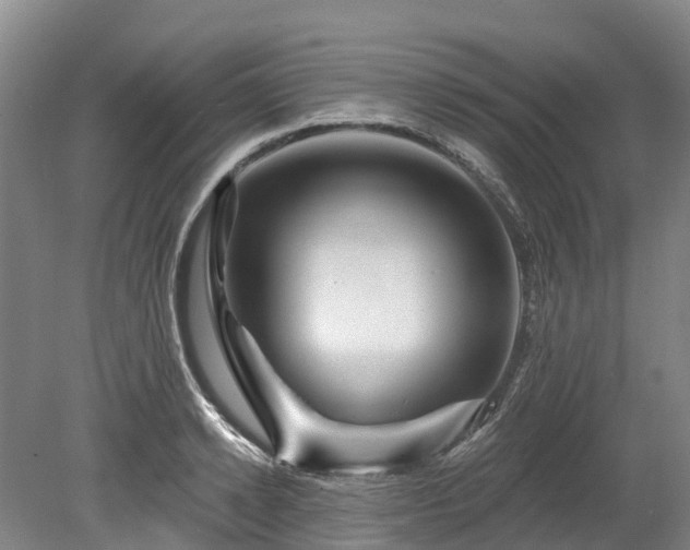 X0000078870942200611201336