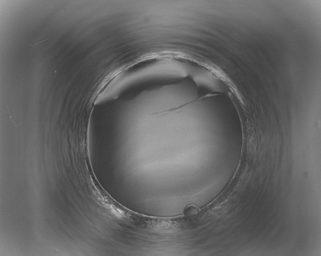 X0000078870945200611201336