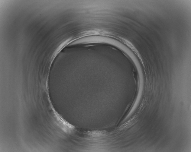 X0000078870946200611201336