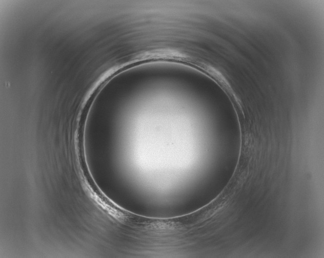 X0000078870947200611201336