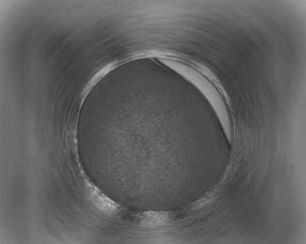 X0000078870954200611201336