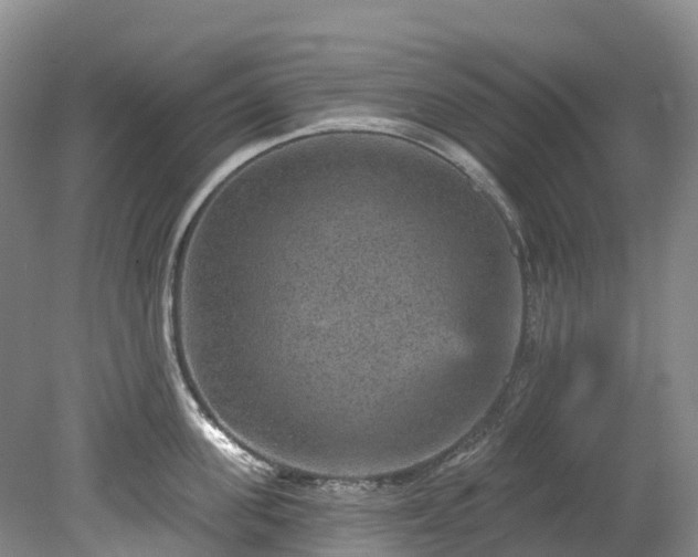 X0000078870955200611201336