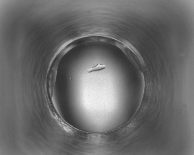 X0000078870956200611201336