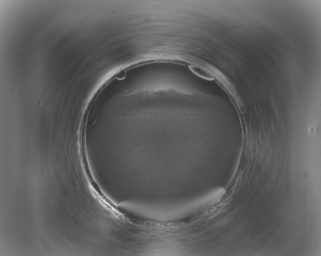 X0000078870958200611201336