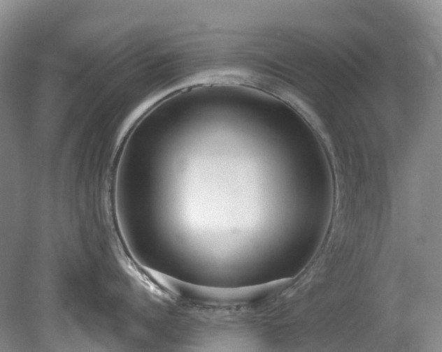 X0000078870960200611201336