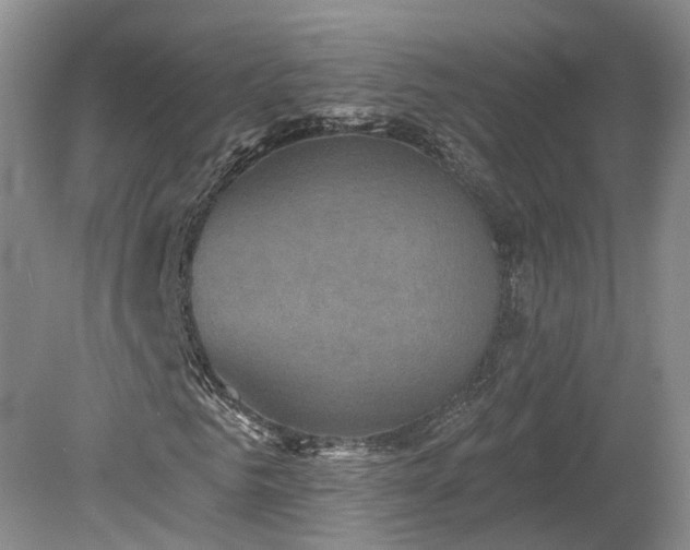 X0000078870961200611201335