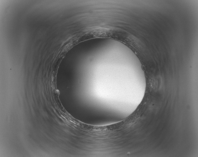 X0000078870964200611201335