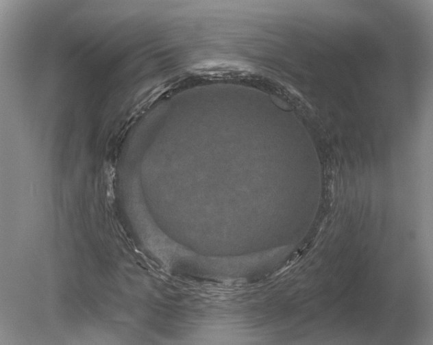 X0000078870965200611201335