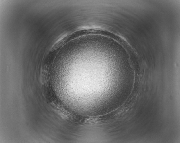X0000078870967200611201335