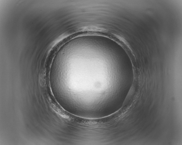 X0000078870971200611201335