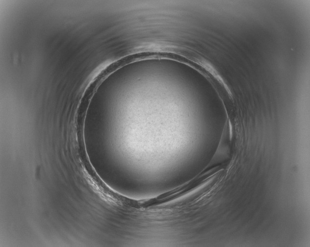 X0000078870972200611201335