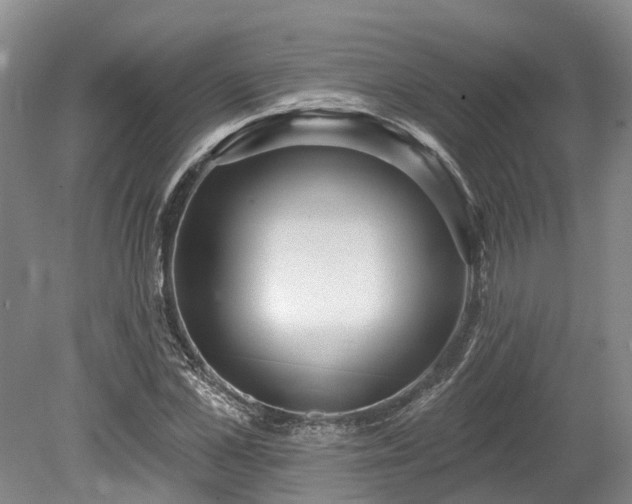 X0000078870973200611201335