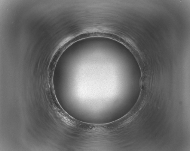 X0000078870974200611201335