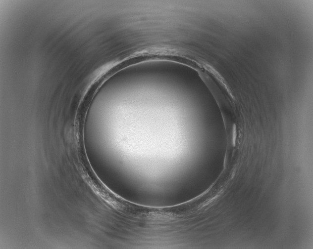 X0000078870981200611201335