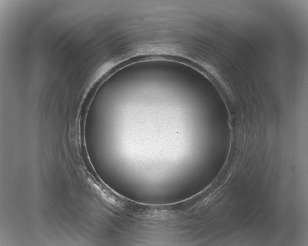 X0000078870982200611201335
