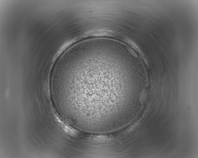 X0000078870986200611201335