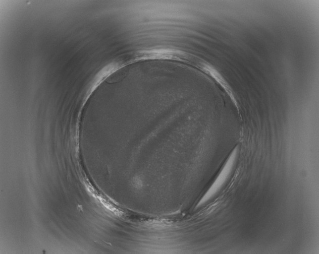 X0000078870994200611201335