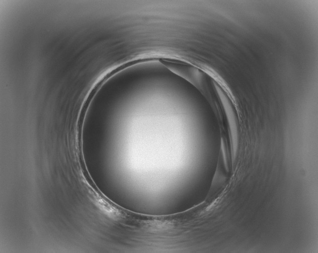 X0000078870996200611201335