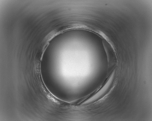 X0000078871001200611201335