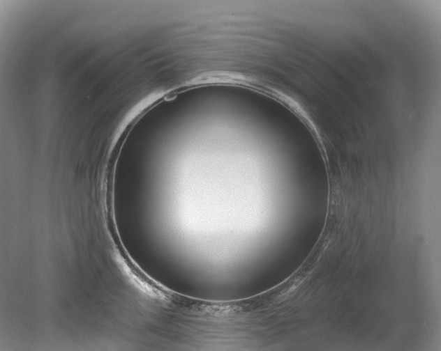 X0000078871003200611201335
