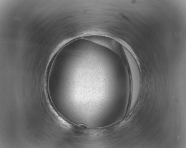 X0000078871005200611201335