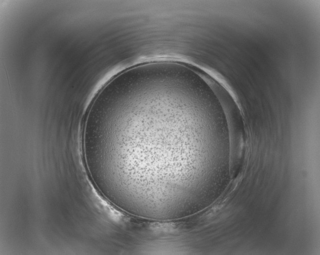 X0000078871006200611201335
