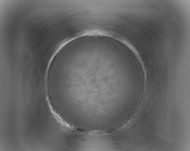 X0000078871008200611201334