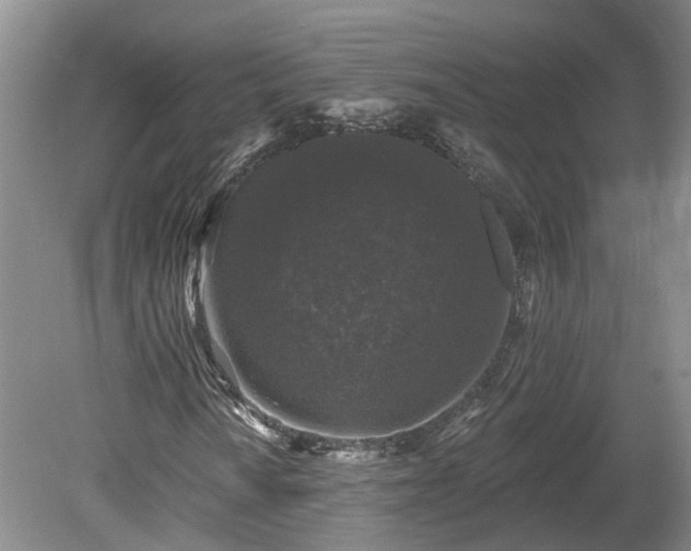 X0000078871010200611201334