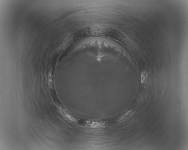 X0000078871011200611201334