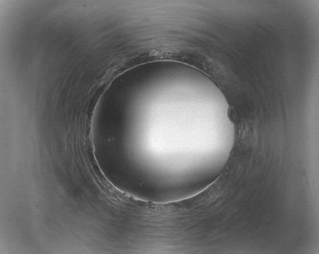 X0000078871012200611201334