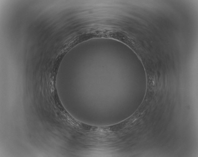 X0000078871013200611201334