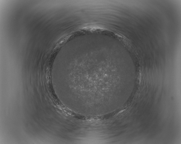 X0000078871014200611201334