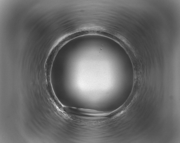 X0000078871022200611201334