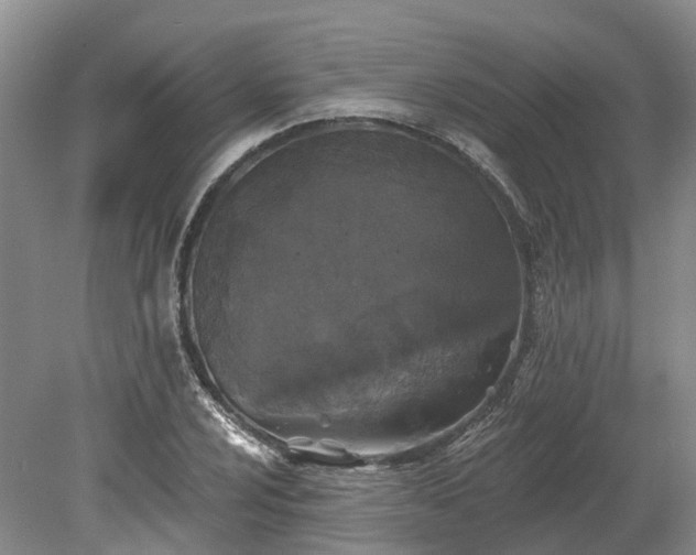 X0000078871024200611201334