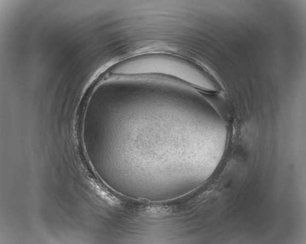 X0000078871026200611201334