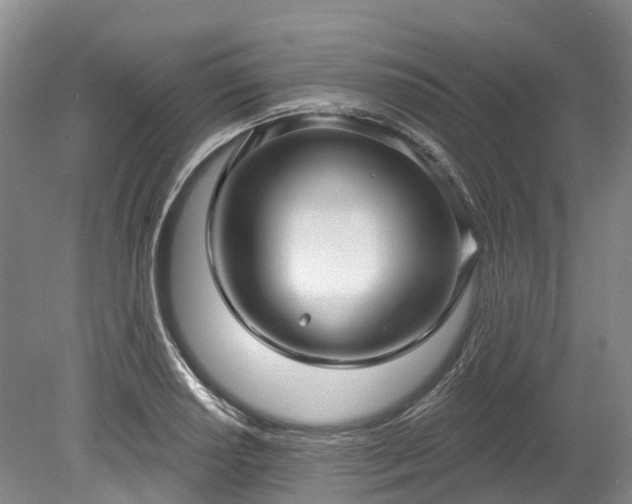 X0000078871034200611201334