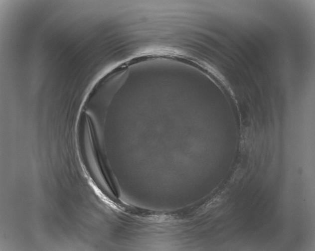 X0000078871037200611201334