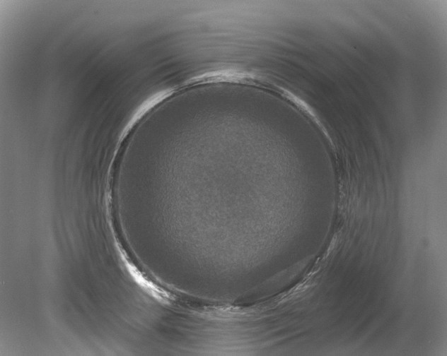X0000078871042200611201334