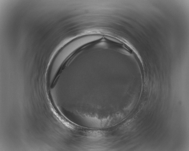 X0000078871045200611201334