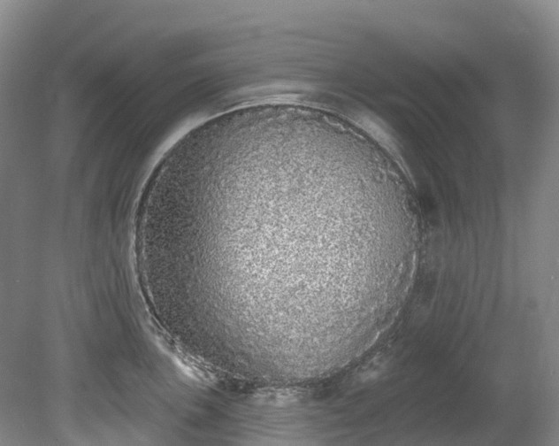 X0000078871051200611201334