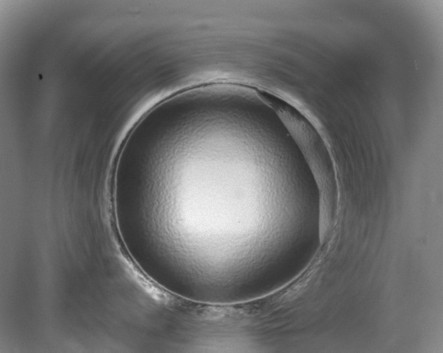 X0000078871056200611201334
