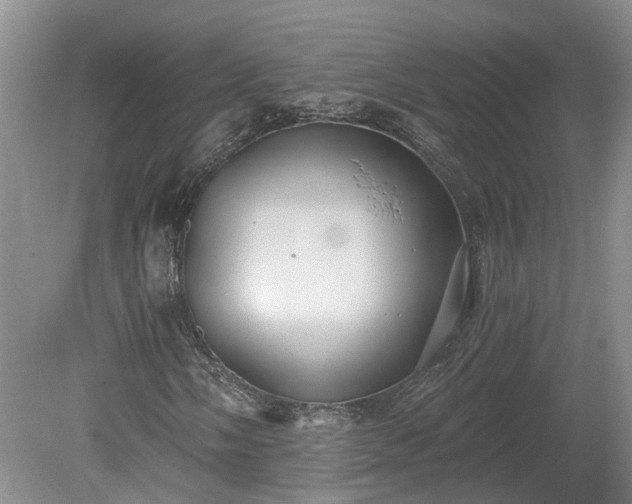 X0000078871058200611201334