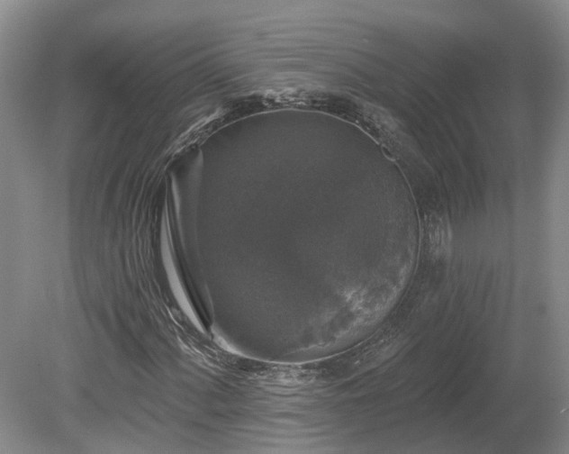 X0000078871060200611201334