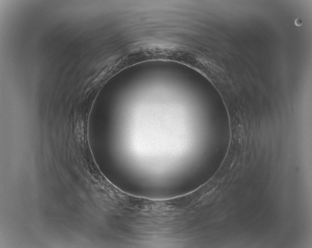 X0000078871061200611201334