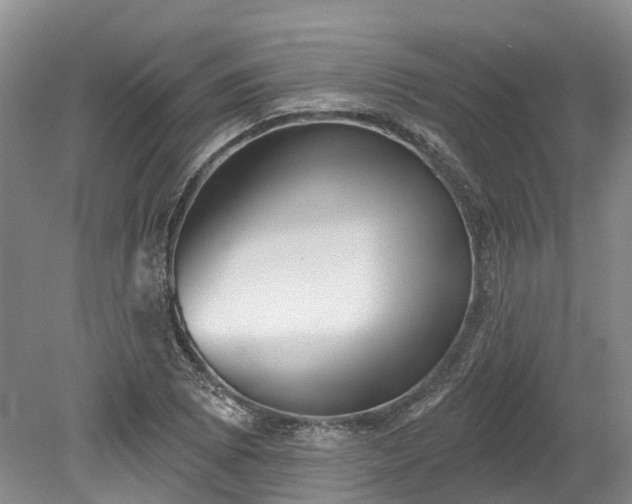 X0000078871073200611201333