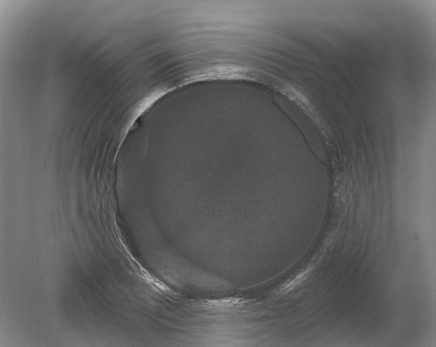 X0000078871081200611201333