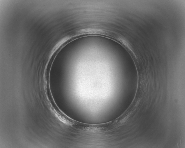 X0000078871082200611201333