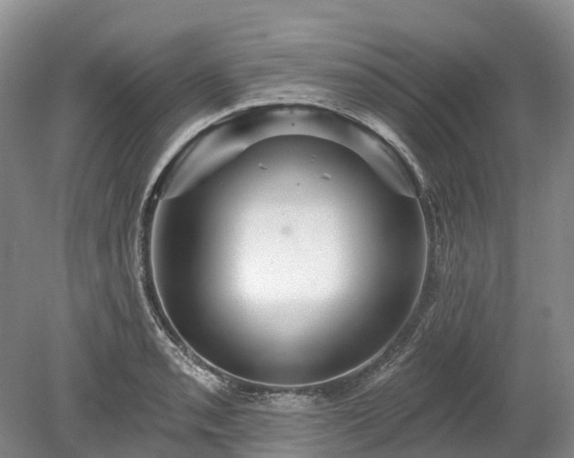 X0000078871085200611201333