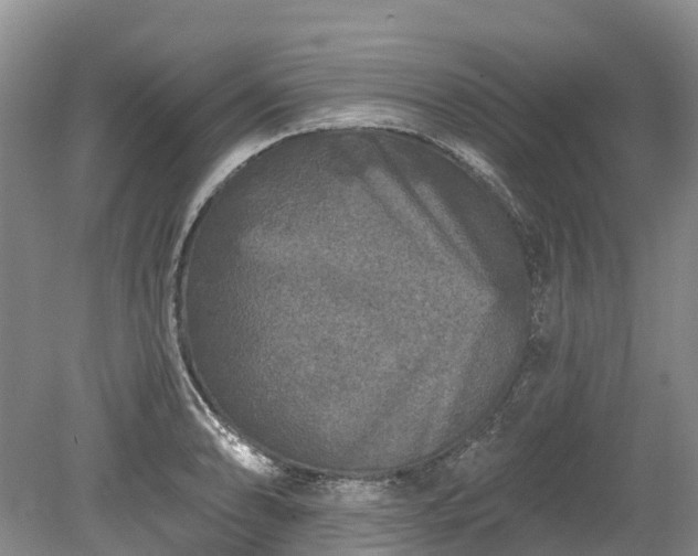 X0000078871086200611201333